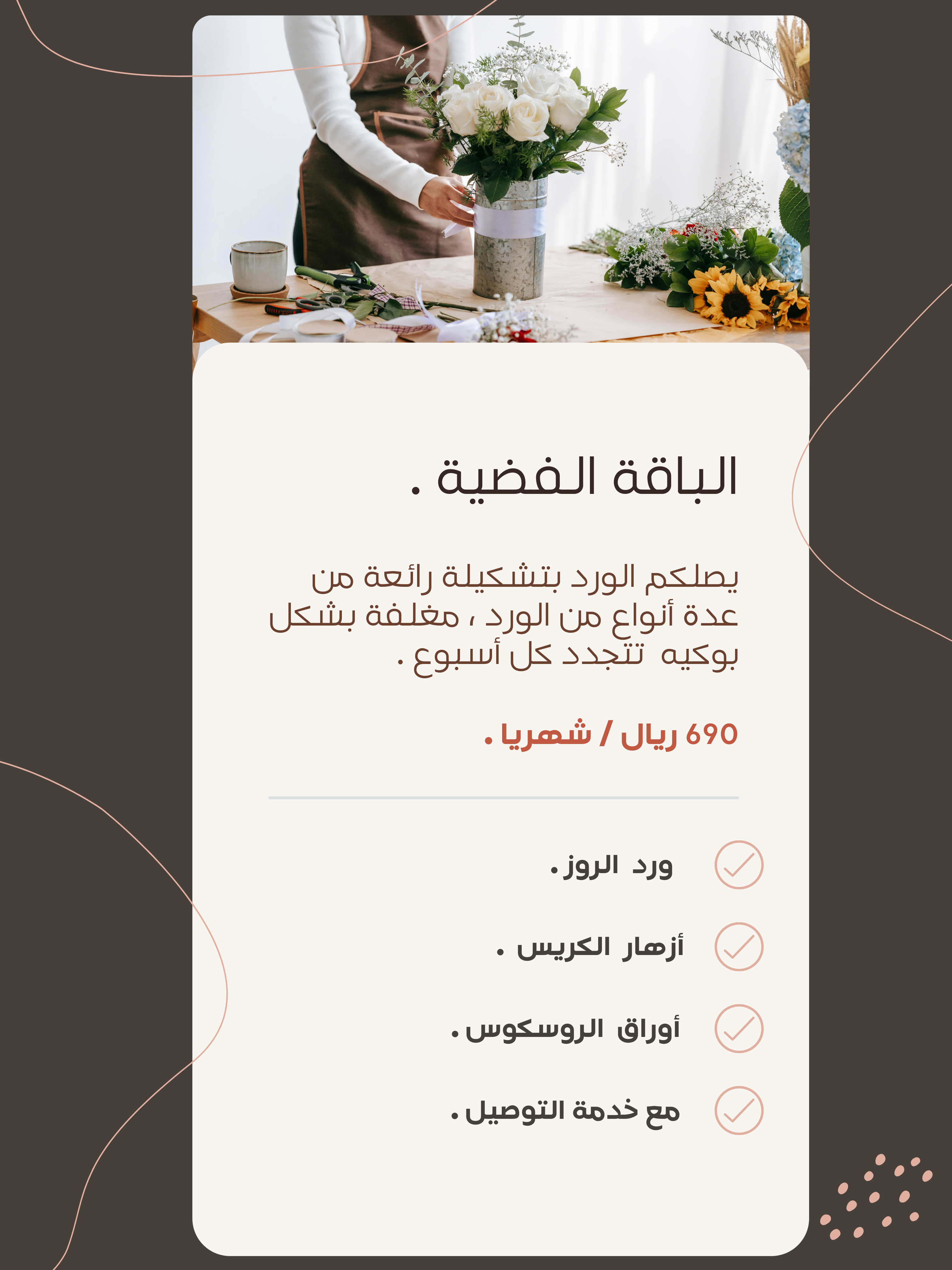 باقة فضية / اشتراك شهري