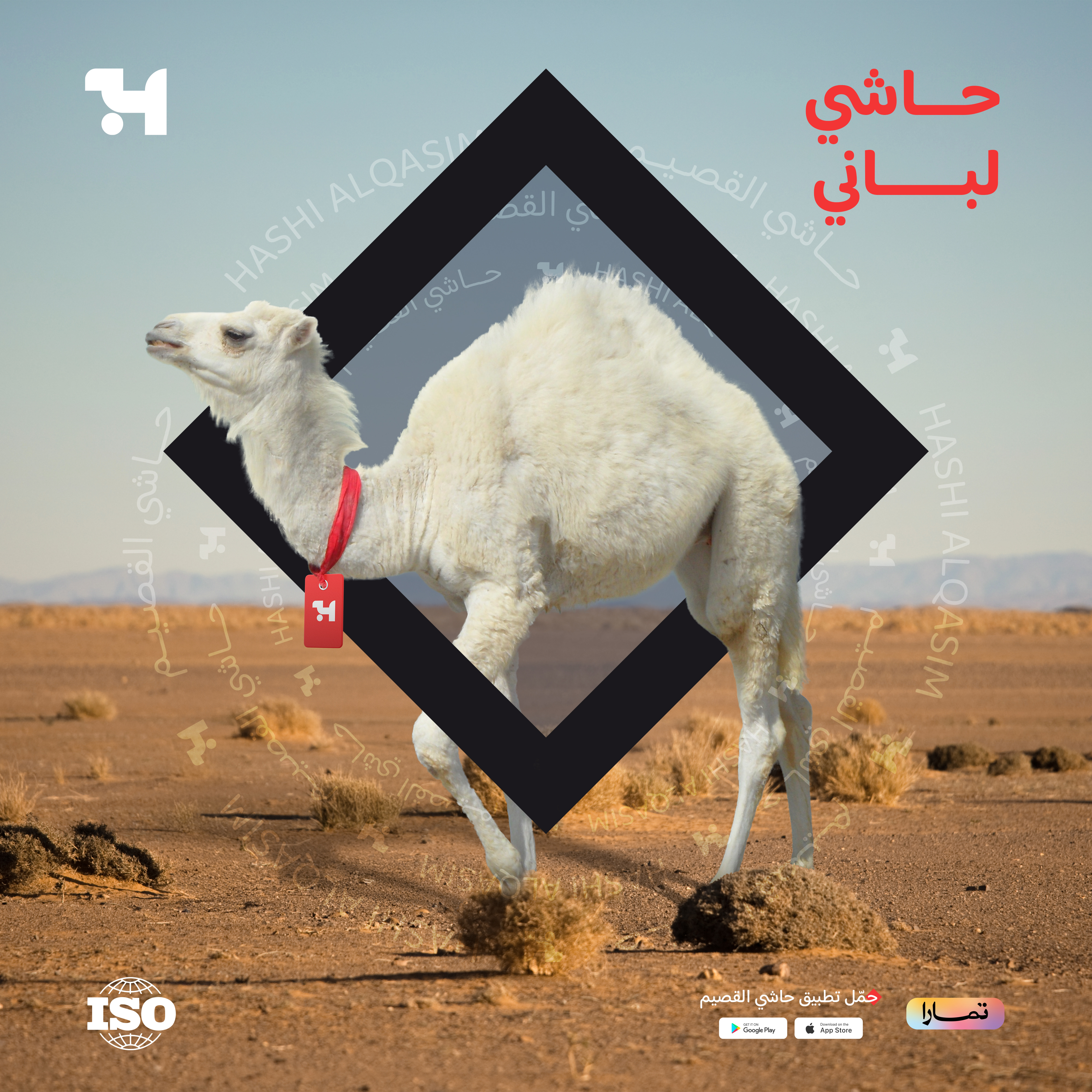  1 كيلو حاشي لباني بدون عظم 