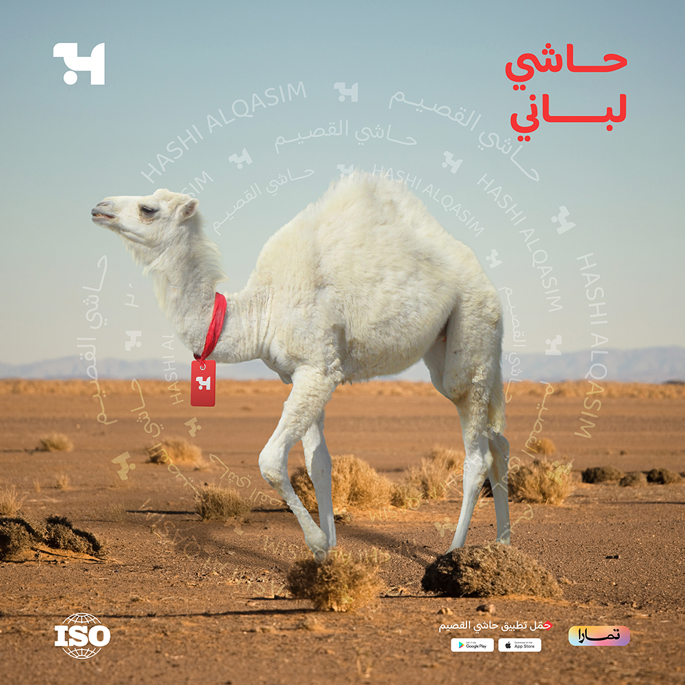  1 كيلو حاشي لباني بالعظم 