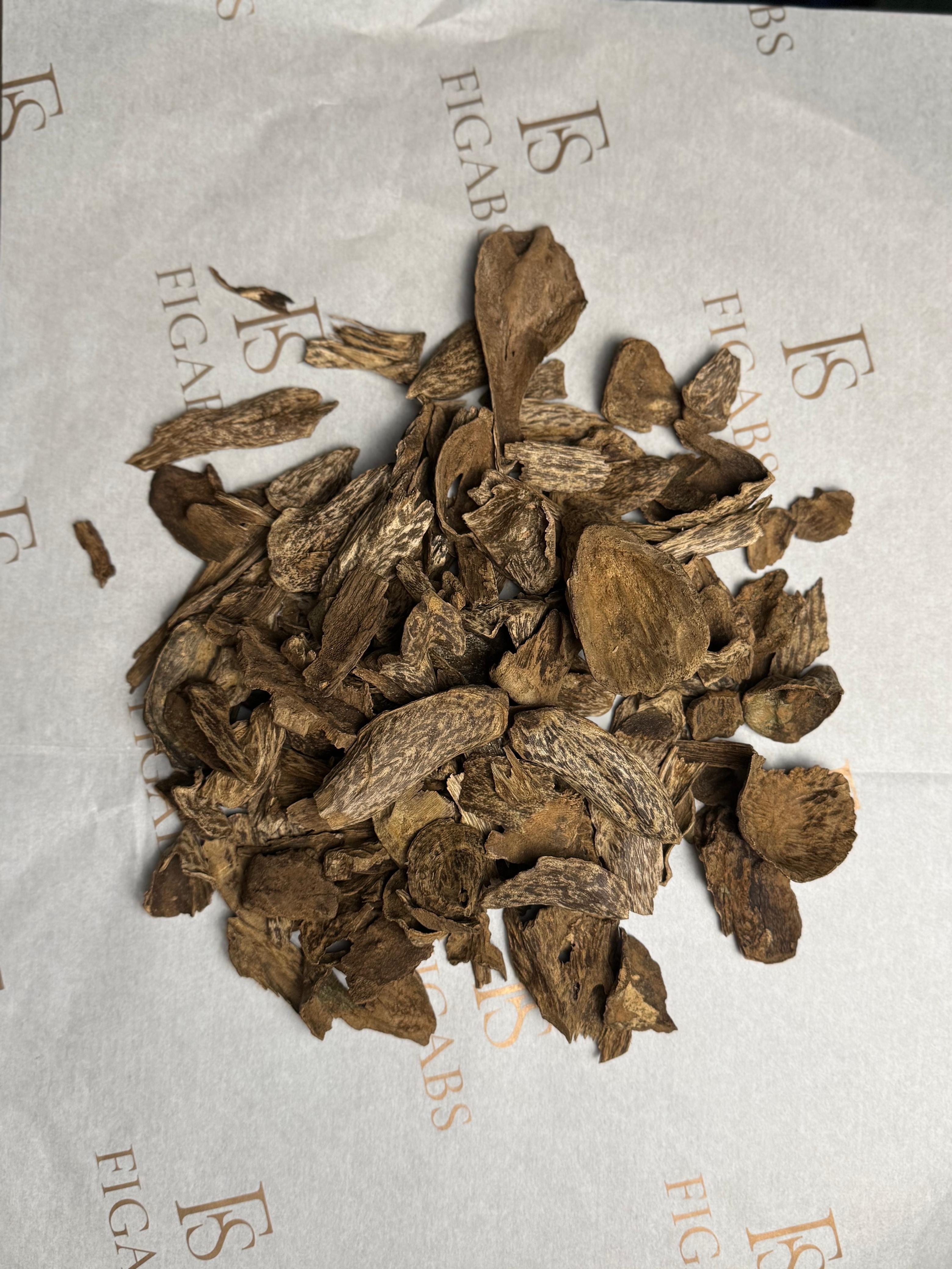عود سيلاني قواقع