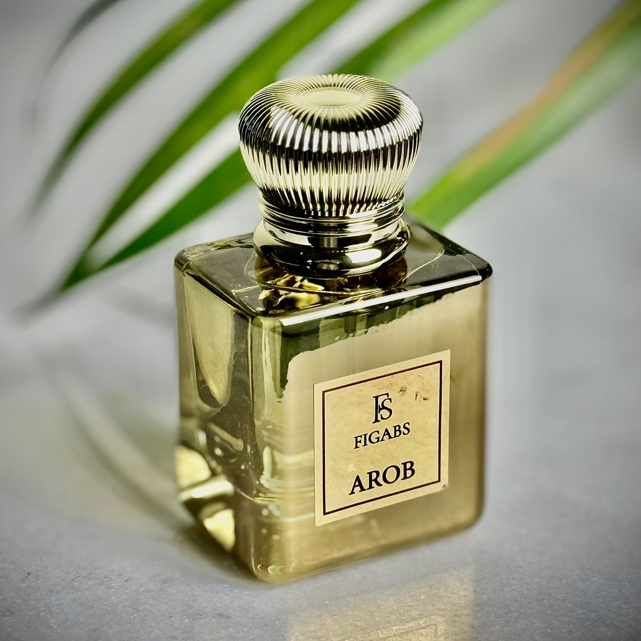 عطر عروب
