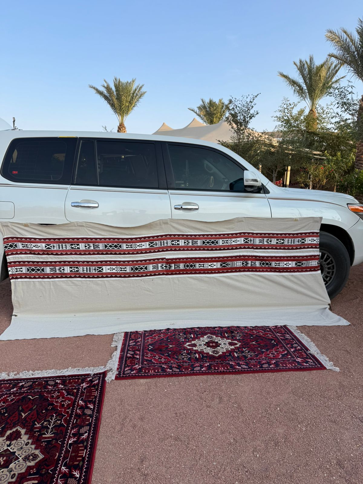  رواق مغناطيس بديكور 1.50*3.90 متر مع جراب + 2 منساب 