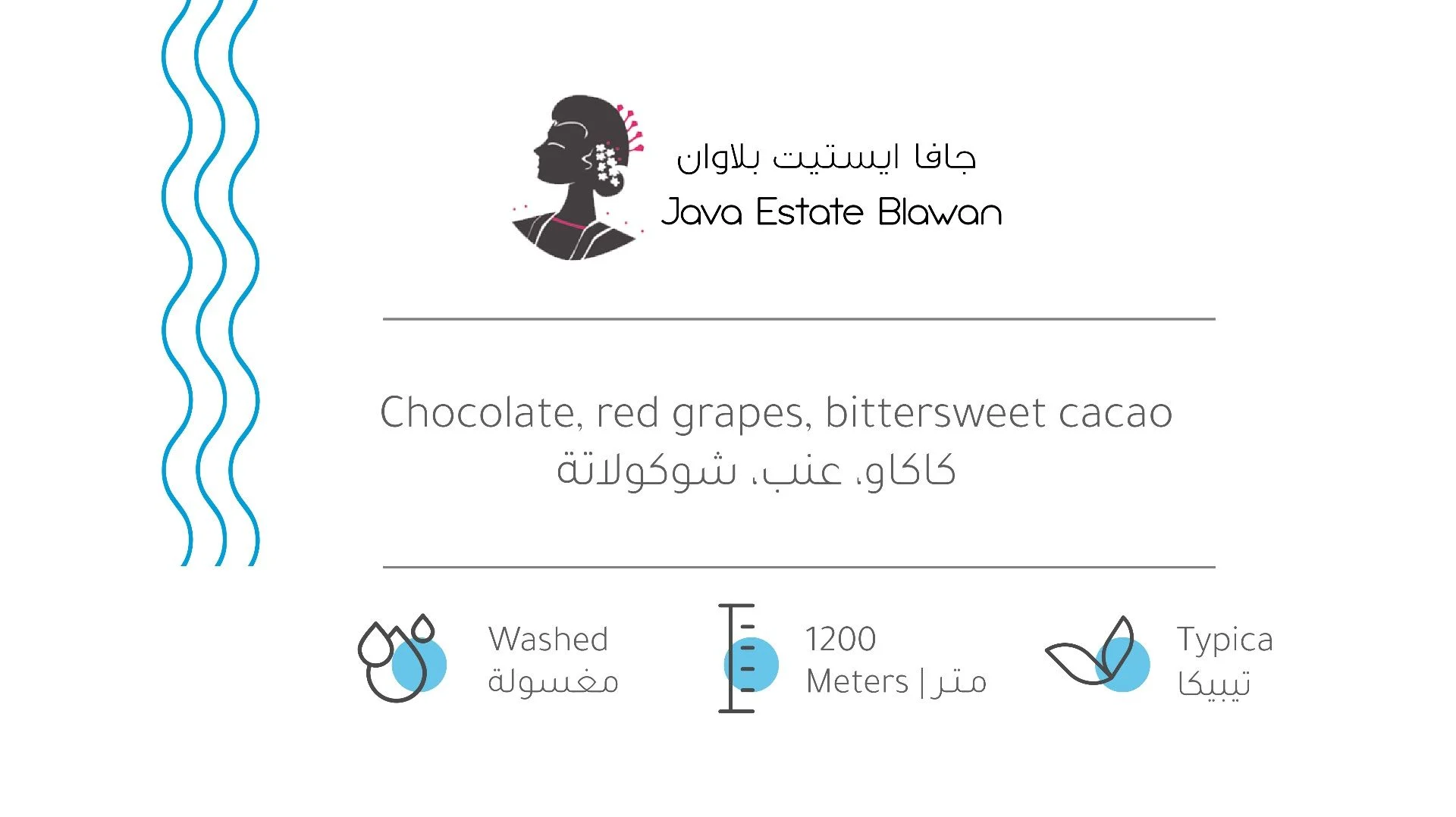 بيت التحميص - جافا ايستيت بلاوان - معالجة القهوة 