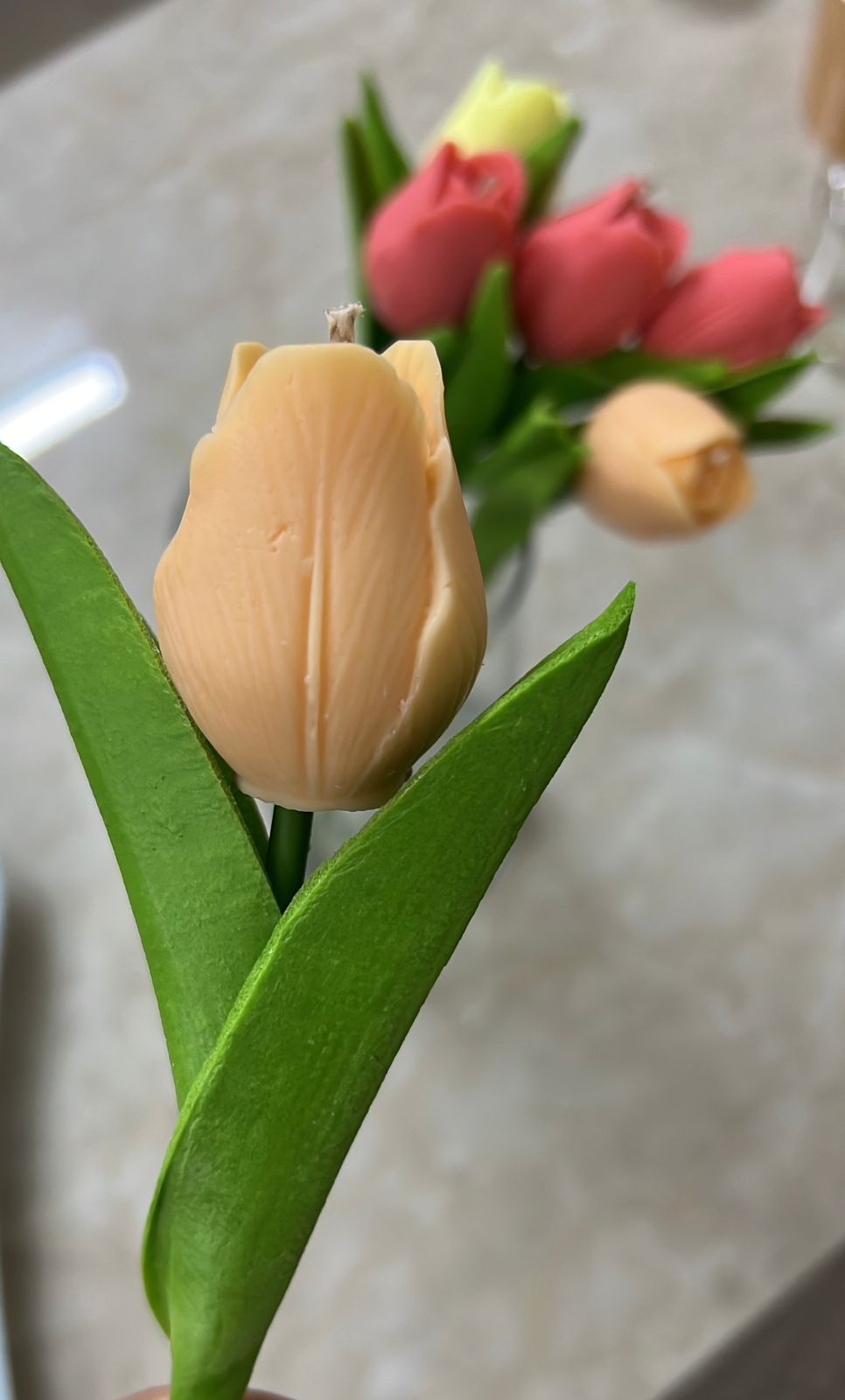 ورده توليب معطره