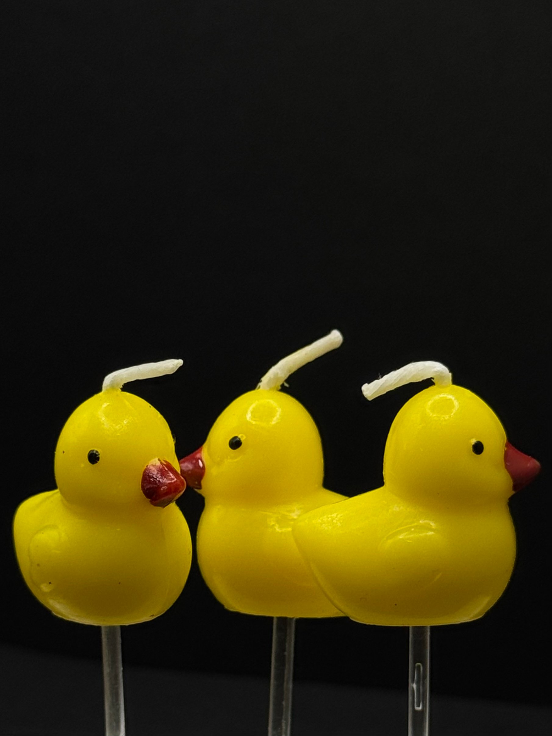 Duck Candle
