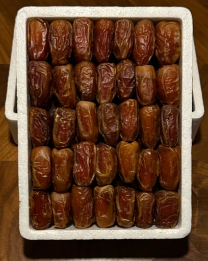  صقعي فاخر  