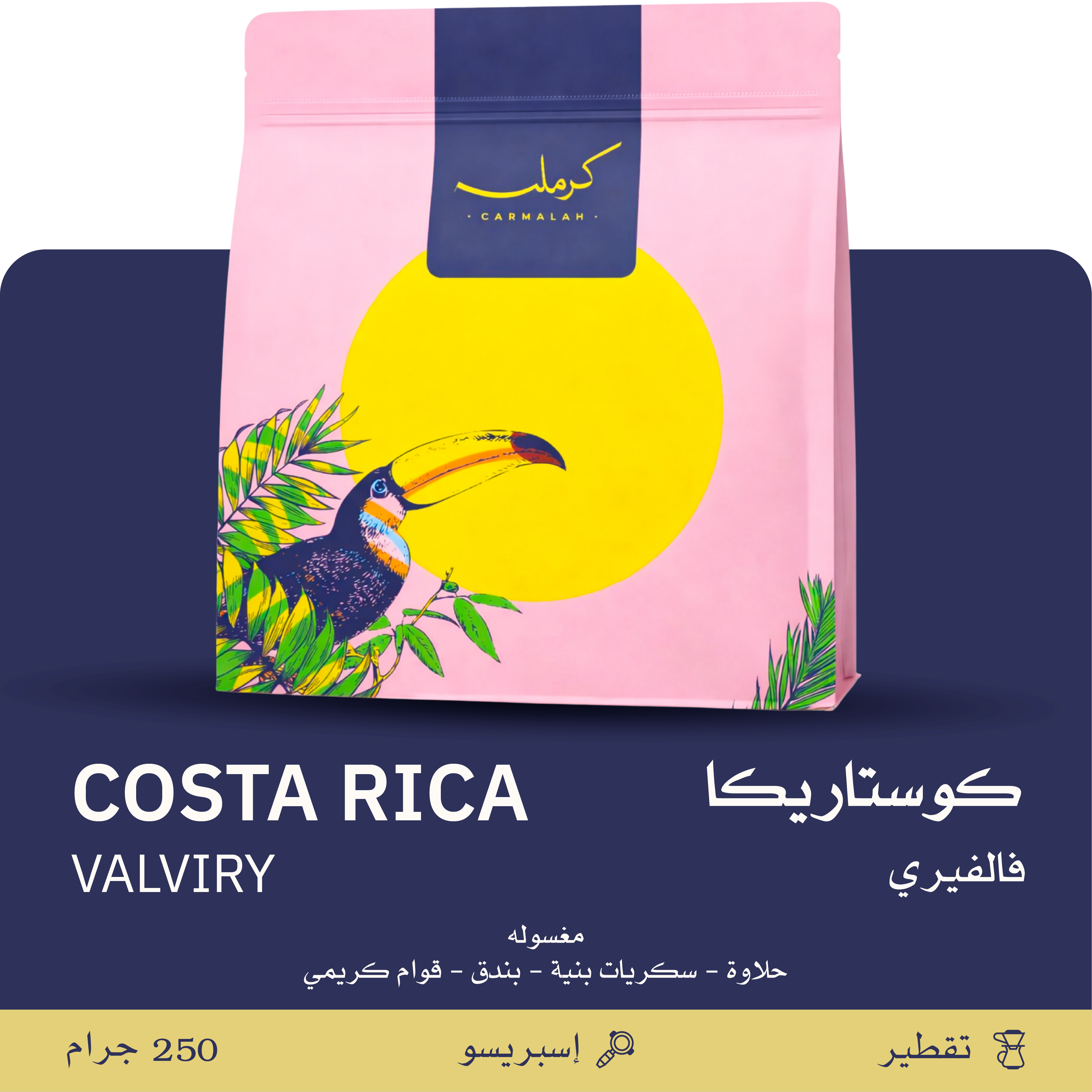 Costarica - VALVIRY