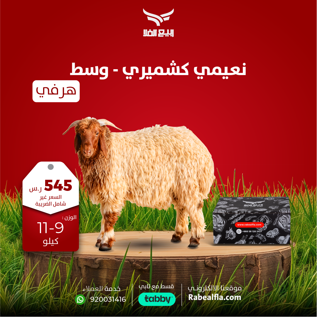 نعيمي هرفي - وسط