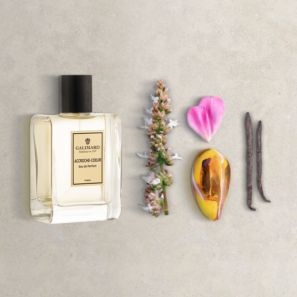 Accroche-Cœur by Galimard (Eau de Parfum) » Reviews & Perfume Facts
