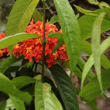 صورة مصغرة 3