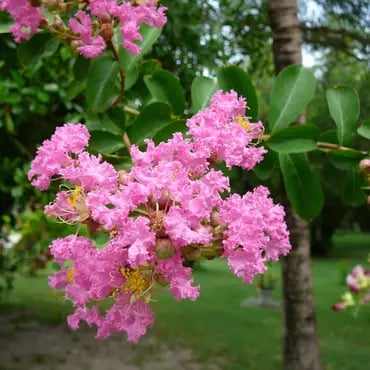 صورة مصغرة 3