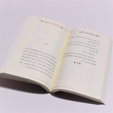 صورة مصغرة 2