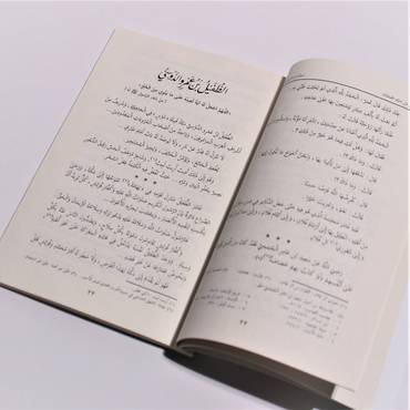 صورة مصغرة 3