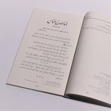صورة مصغرة 3