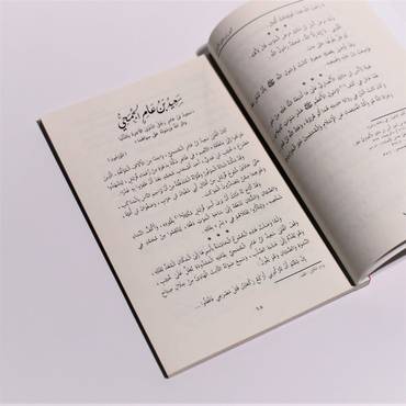 صورة مصغرة 2