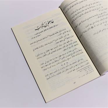 صورة مصغرة 3