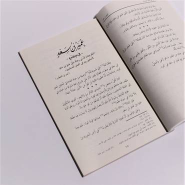صورة مصغرة 2