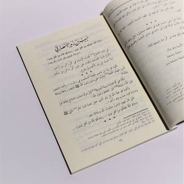 صورة مصغرة 2