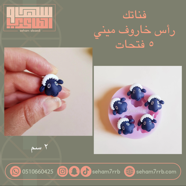 صورة مصغرة 6