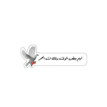 صورة مصغرة 2