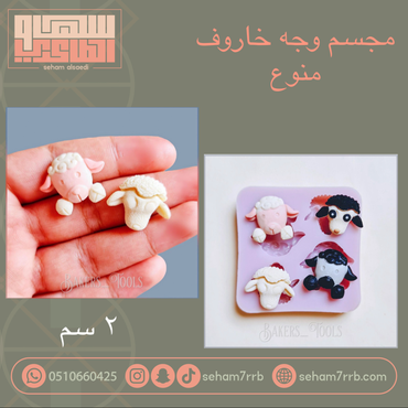 صورة مصغرة 1