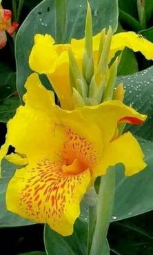 صورة مصغرة 7