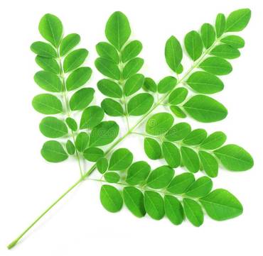 صورة مصغرة 3