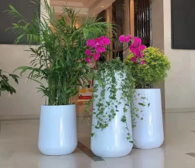 صورة مصغرة 3