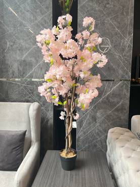 صورة مصغرة 2