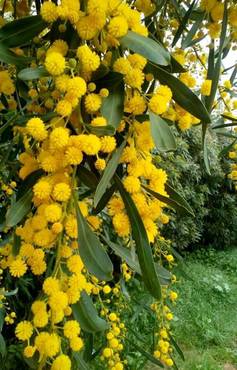 صورة مصغرة 2