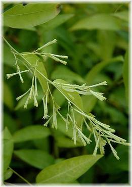 صورة مصغرة 7