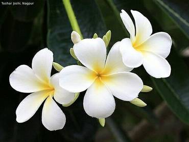 صورة مصغرة 18