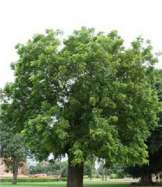 صورة مصغرة 3
