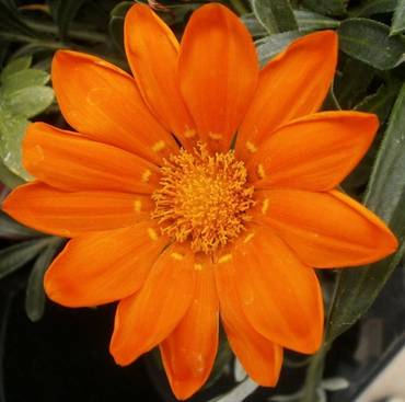 صورة مصغرة 4