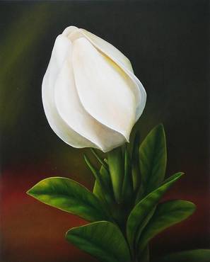 صورة مصغرة 1