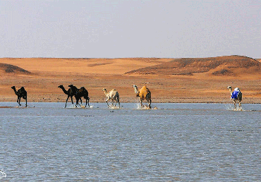صورة مصغرة 2