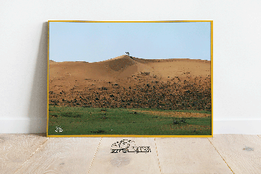 صورة مصغرة 3