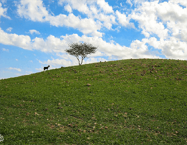 صورة مصغرة 2