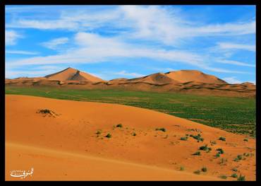 صورة مصغرة 2