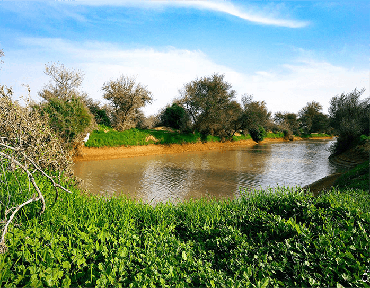 صورة مصغرة 2