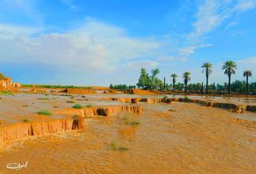 صورة مصغرة 2