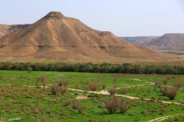 صورة مصغرة 2