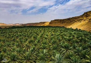 صورة مصغرة 2