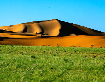 صورة مصغرة 2