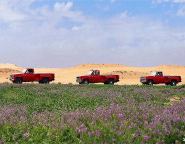 صورة مصغرة 2