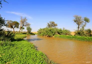 صورة مصغرة 2
