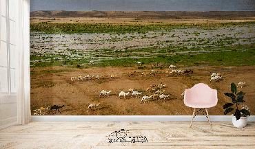 صورة مصغرة 1