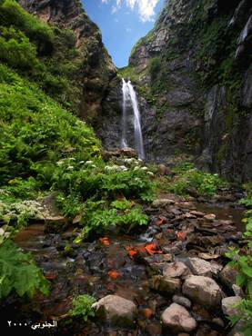 صورة مصغرة 2