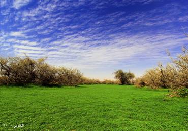 صورة مصغرة 2