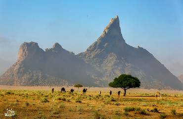 صورة مصغرة 2